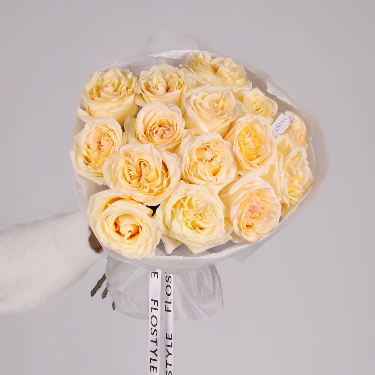 yarkaya roza 15 sht 6